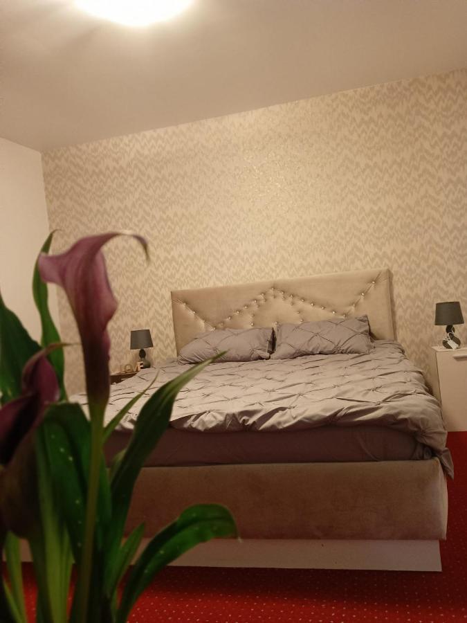 布拉索夫Karina House公寓 外观 照片