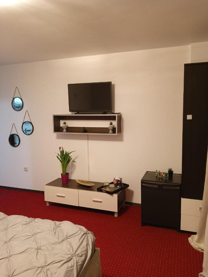 布拉索夫Karina House公寓 外观 照片