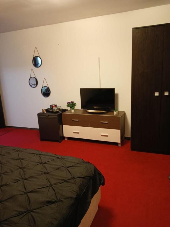 布拉索夫Karina House公寓 外观 照片