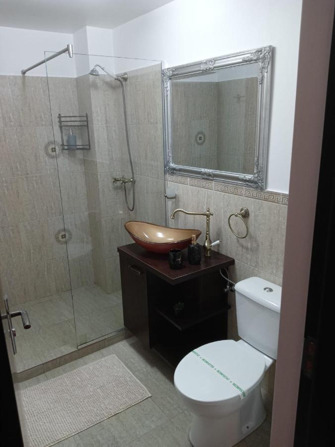 布拉索夫Karina House公寓 外观 照片