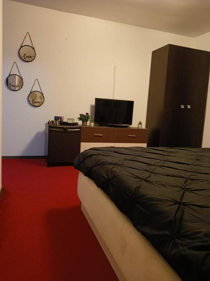 布拉索夫Karina House公寓 外观 照片