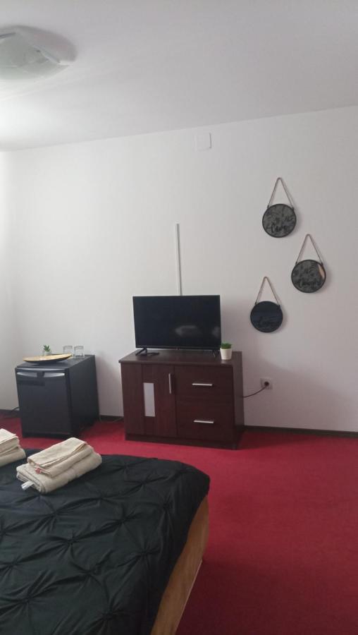 布拉索夫Karina House公寓 外观 照片