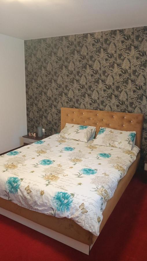布拉索夫Karina House公寓 外观 照片